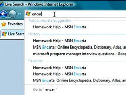  Internet Explorer    50 